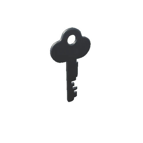 P_Key_08