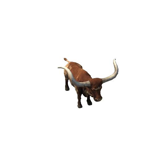 Cow_Texas_FV_RM_LP