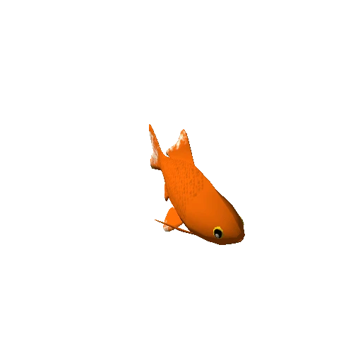 Fish_orange