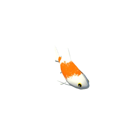 Fish_orange_white