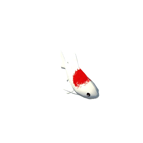 Fish_white_red