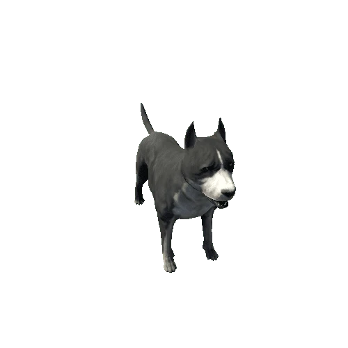 Amstaff01_SV_RM_LP_Black