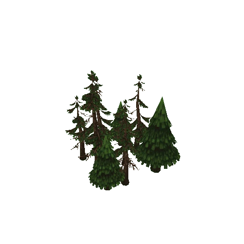 forest1