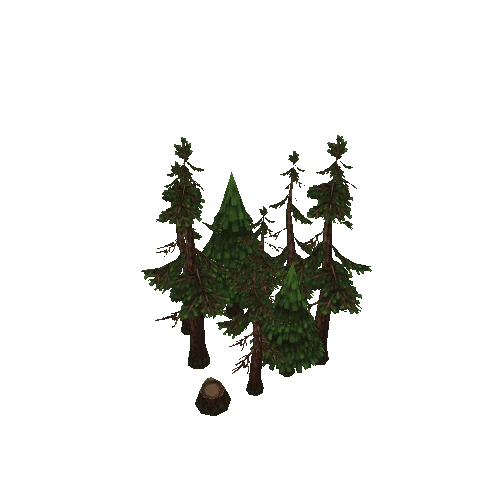 forest2