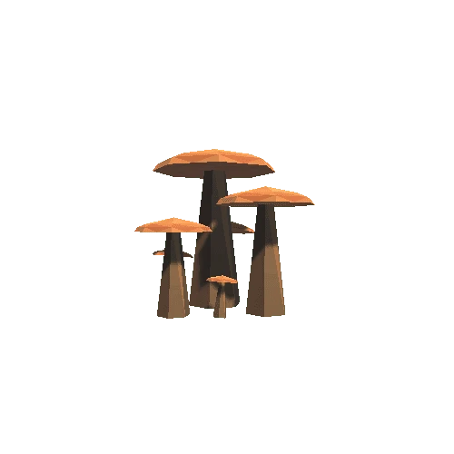 Mushroom_Gr_1C