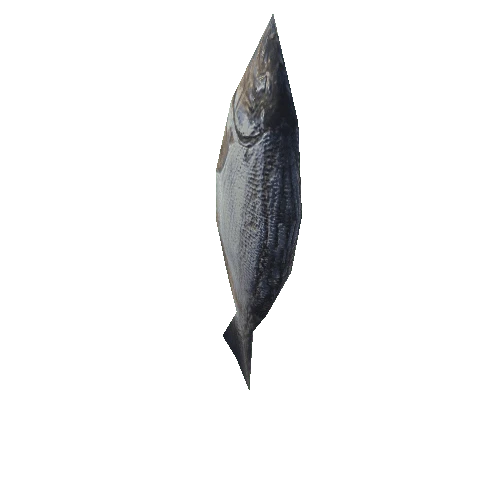 Fish01