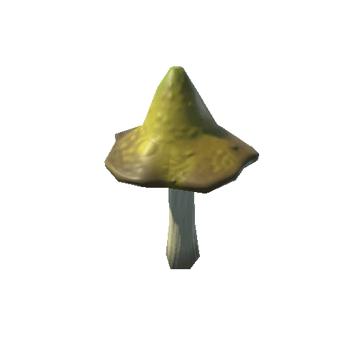 mushrooms_Y_01