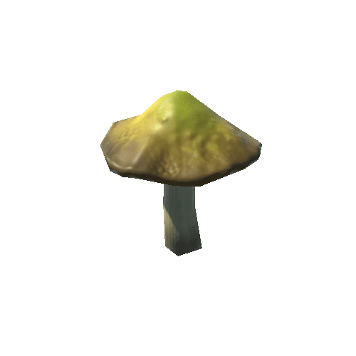 mushrooms_Y_02