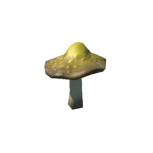 mushrooms_Y_03