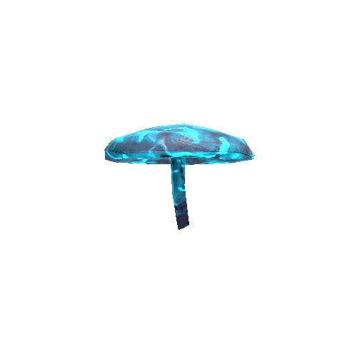 Mushroom_Detail_1