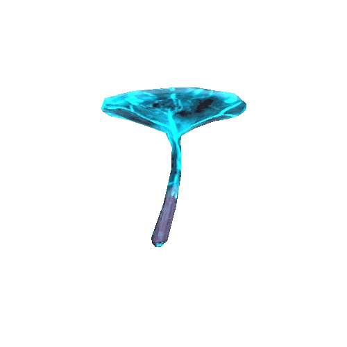 Mushroom_Detail_2