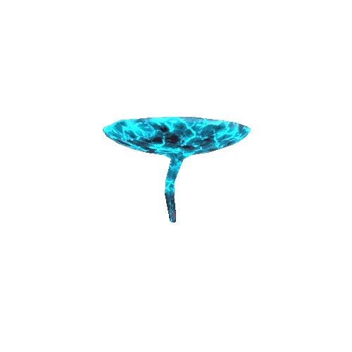 Mushroom_Detail_4