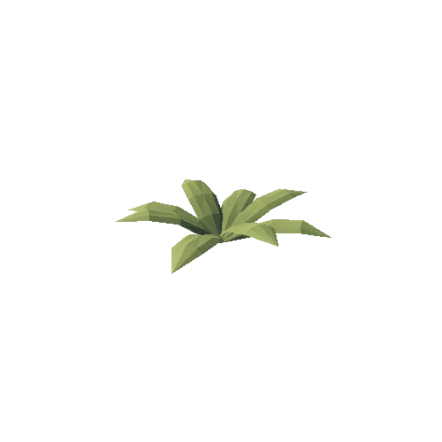 Plant_2A