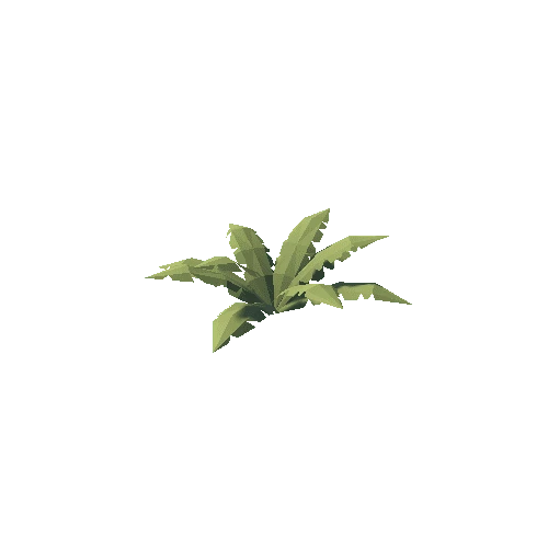 Plant_3B