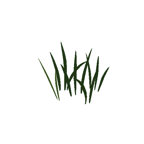 grass_02