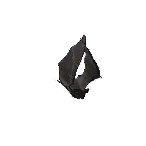 Bat