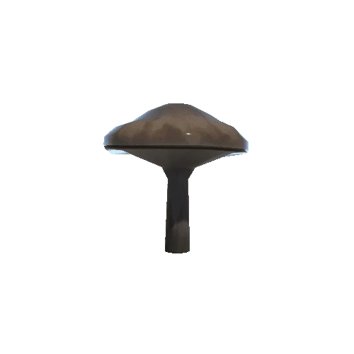 mushroomBrown1