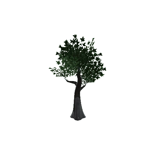 tree9