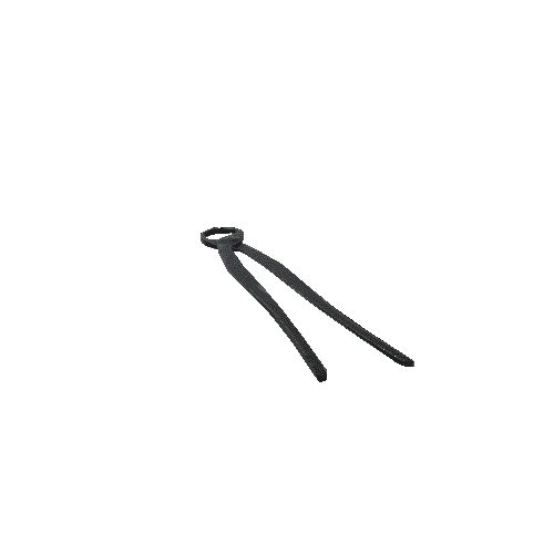 forceps