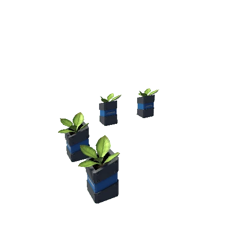 Plant_angle1