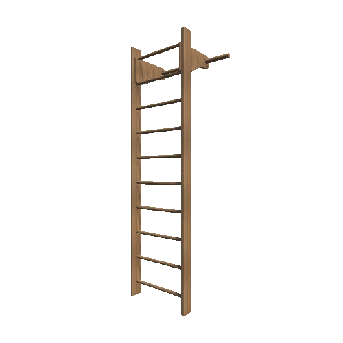 Ladder