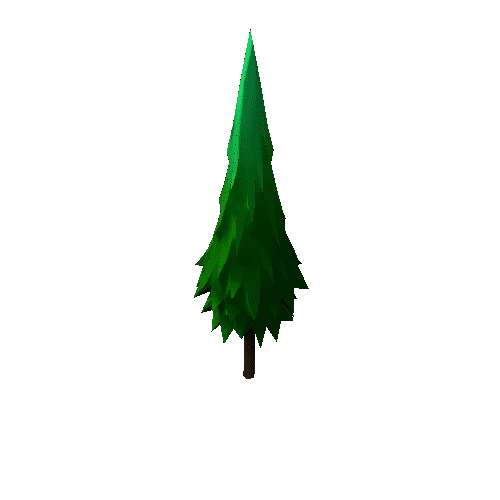 TP_Pine_Tree_01A