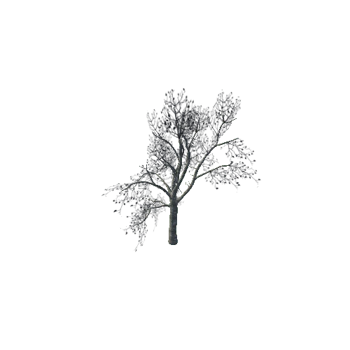 Tree_2