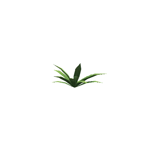 Plant_2