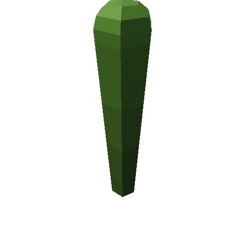 cactus_00