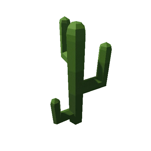 cactus_04
