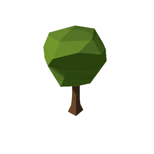 tree_a_07