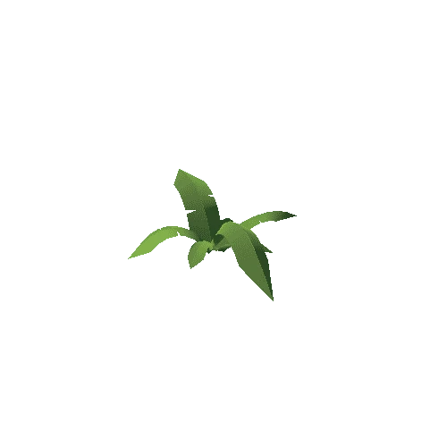 Plant_01