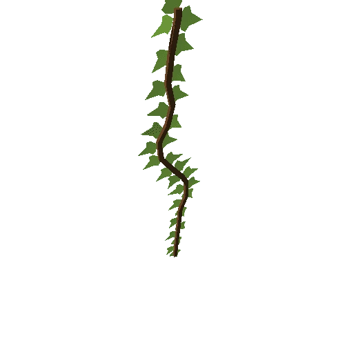 Plant_010