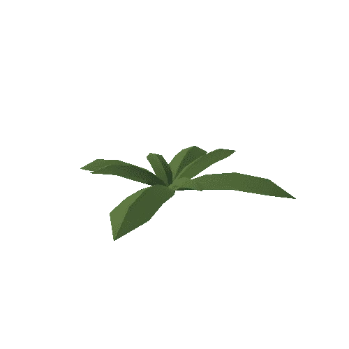 Plant_012