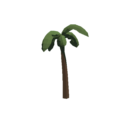 Plant_013