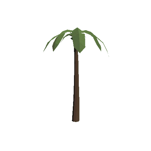 Plant_014