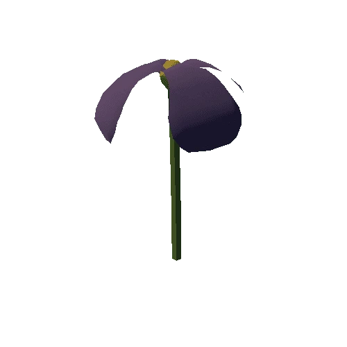 Plant_04