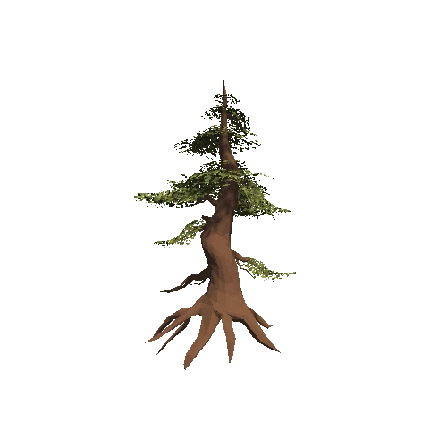 fir_tree_1