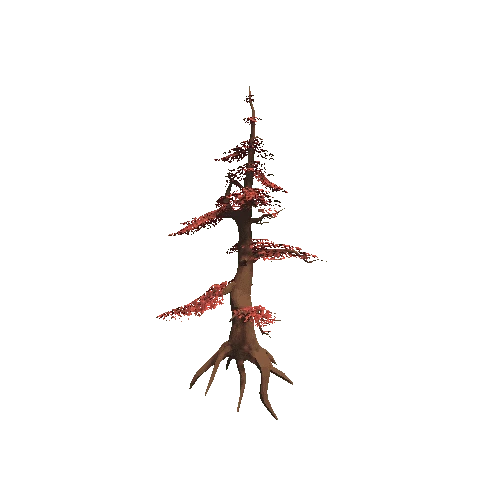 fir_tree_2_red