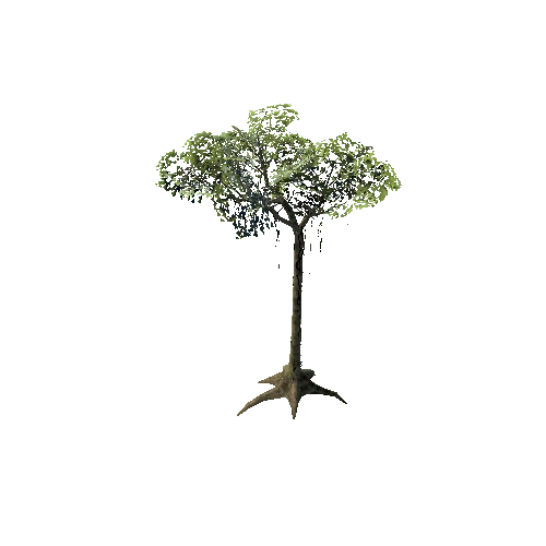 Large_Tree_01