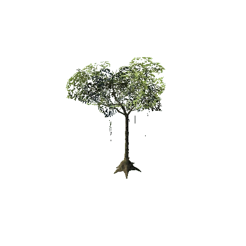 Large_Tree_02