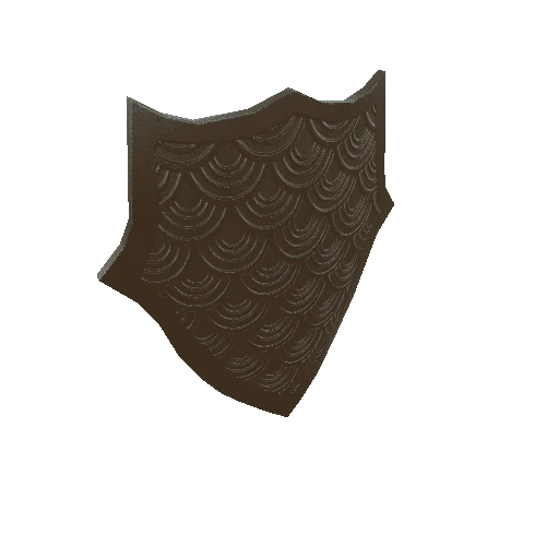 Classic_shield_bronze_04