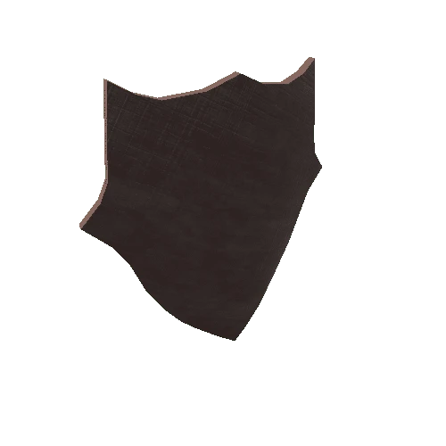 Classic_shield_wood_04