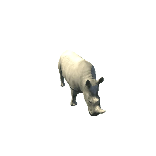 Rhino_V2_LOD3
