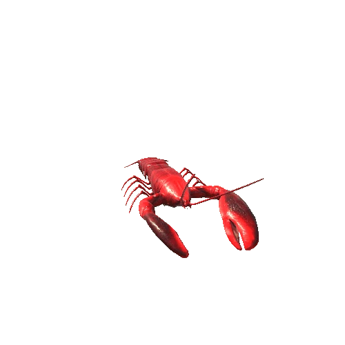 lobsterColor1