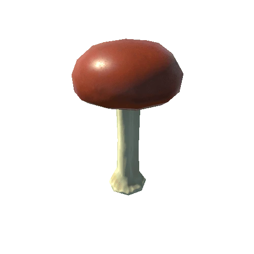 Mushroom_02