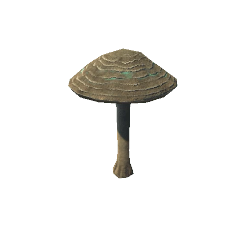 Mushroom_04