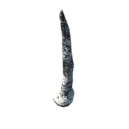 Stone_Thorn_02_Snow