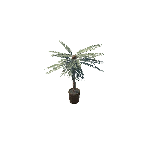 Plant_4