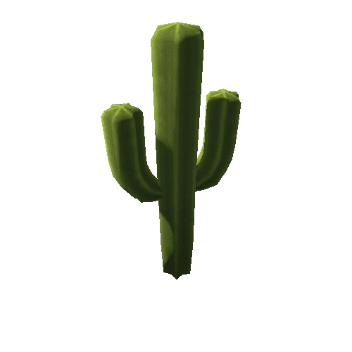 Saguaro2